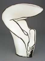 Suzanne Storer - Overhang